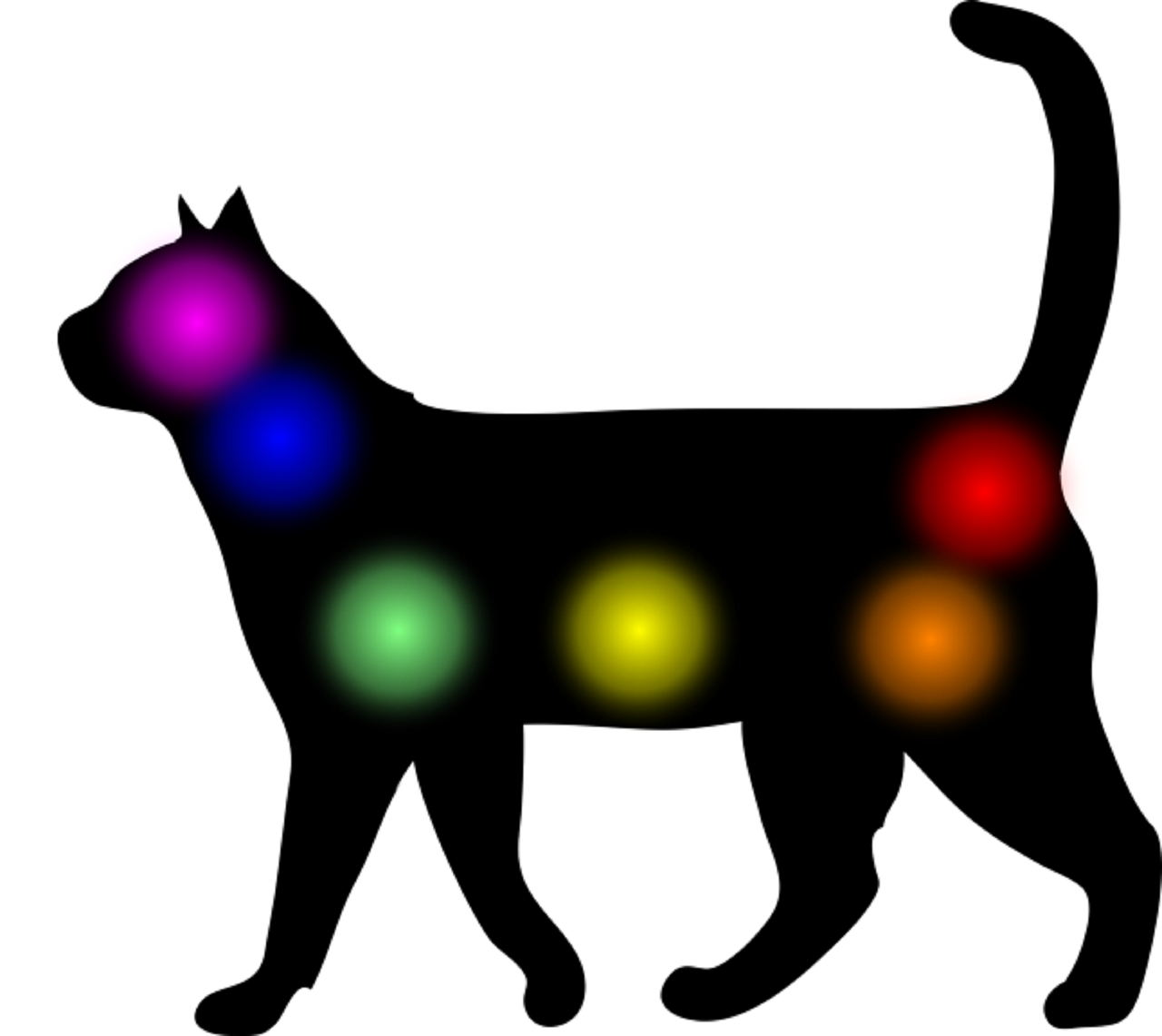 Chakras en tus mascotas